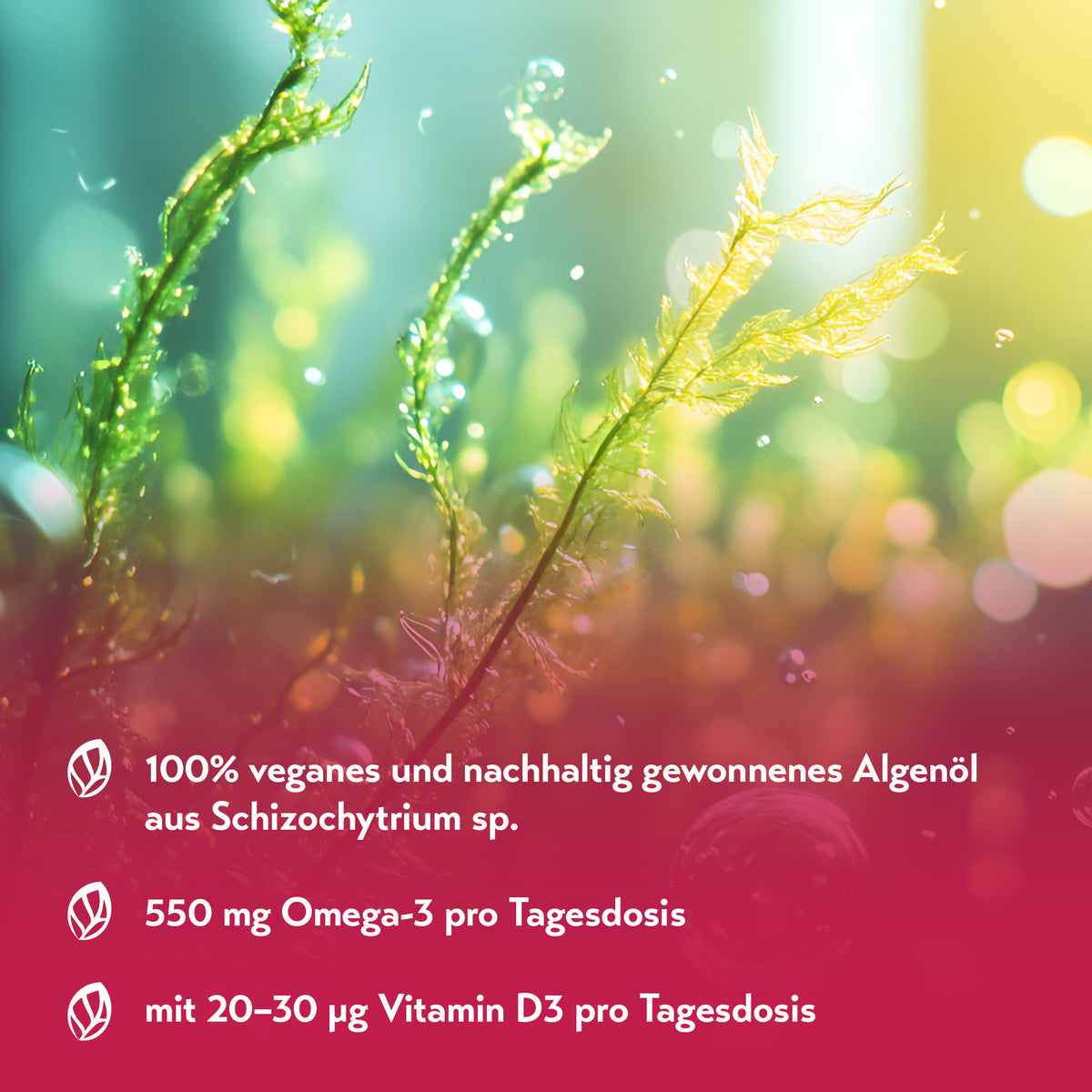 Grafik von Algen im Wasser mit Text: pureSGP ist ein 100 Prozent veganes und nachhaltig gewonnenes Algenöl aus Schizochytrium sp. sowie 550 mg Omega-3 und 20 bis 30 µg Vitamin D3 pro Tagesdosis.