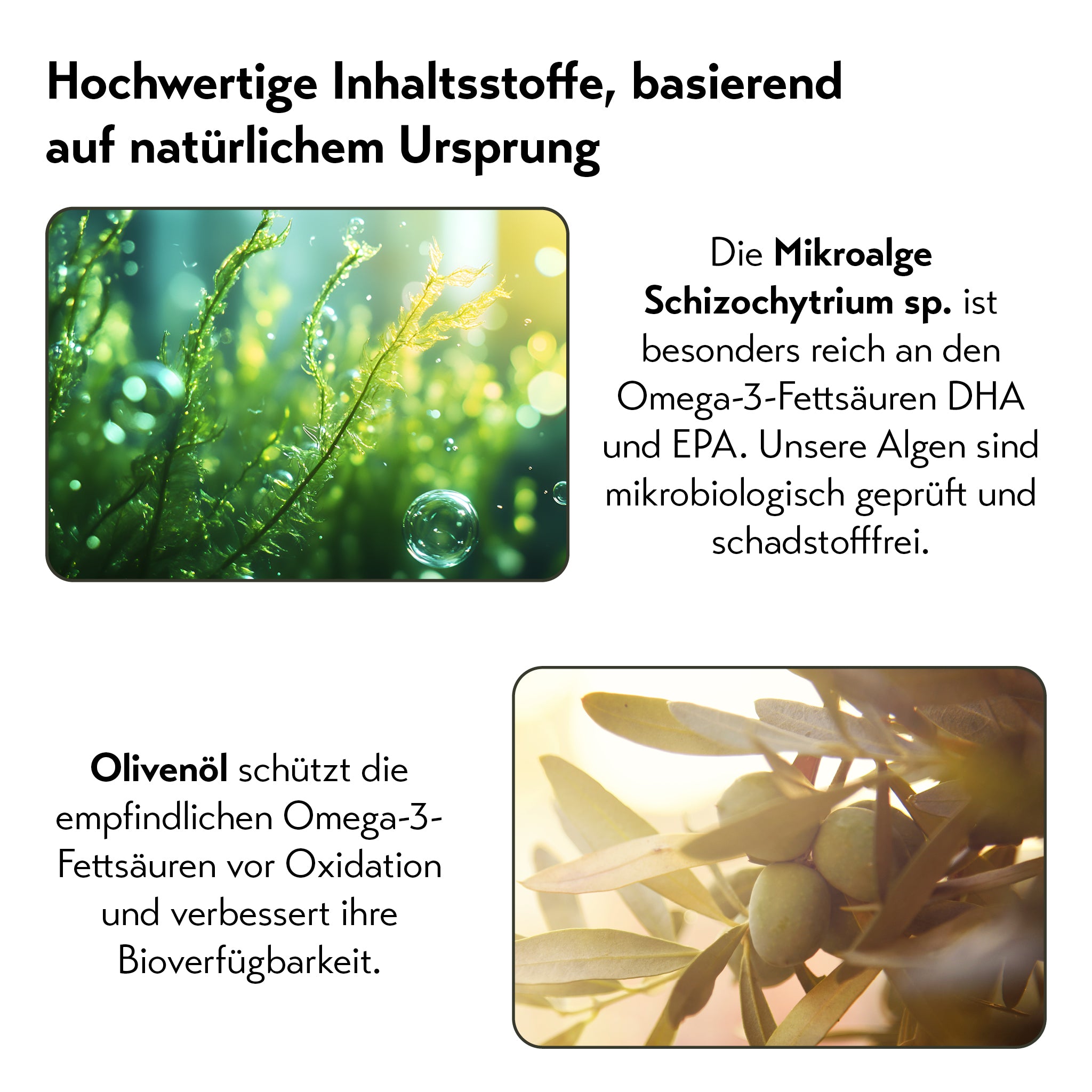 pureSGP OMEGA-3 ÖL FORTE