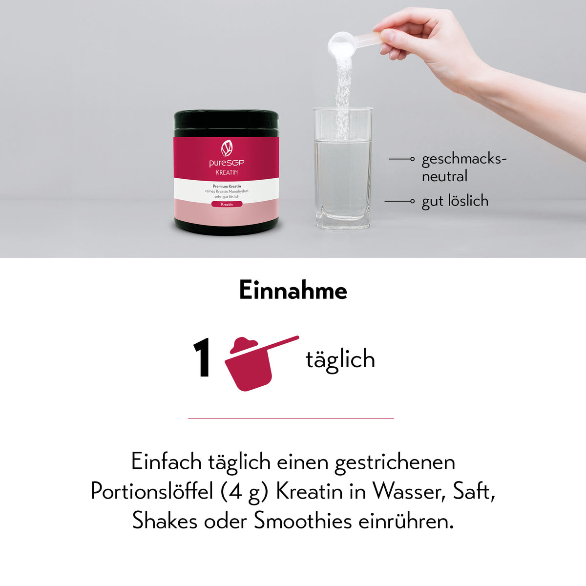 Grafik zur Einnahme von PureSGP Kreatin: Oben stehen ein Kreatinbehälter und ein Glas Wasser, in das mit einem Messlöffel Pulver eingefüllt wird; daneben die Hinweise „geschmacksneutral“ und „gut löslich“. Darunter steht „Einnahme“ mit dem Hinweis „1 täglich“ sowie der Zubereitung, täglich einen gestrichenen Portionslöffel (4 g) Kreatin in Wasser, Saft, Shakes oder Smoothies einzurühren.